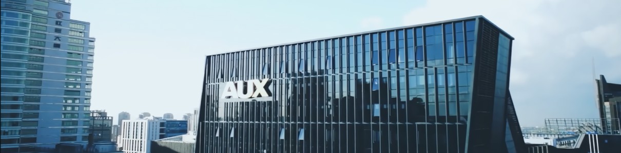 company-aux.jpg